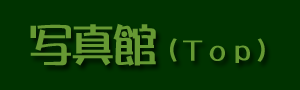 �u���䌧���ӂ̎R�E���R�̎R�x�ʐ^�v��u�R�̉ԁv�ȂǁB