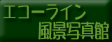 �N���b�N����ƃG�R�[���C���̋C�܂���Ȏʐ^�W���J���܂��B