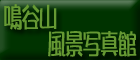 NbNƖJR̋C܂Ȏʐ^WJ܂B